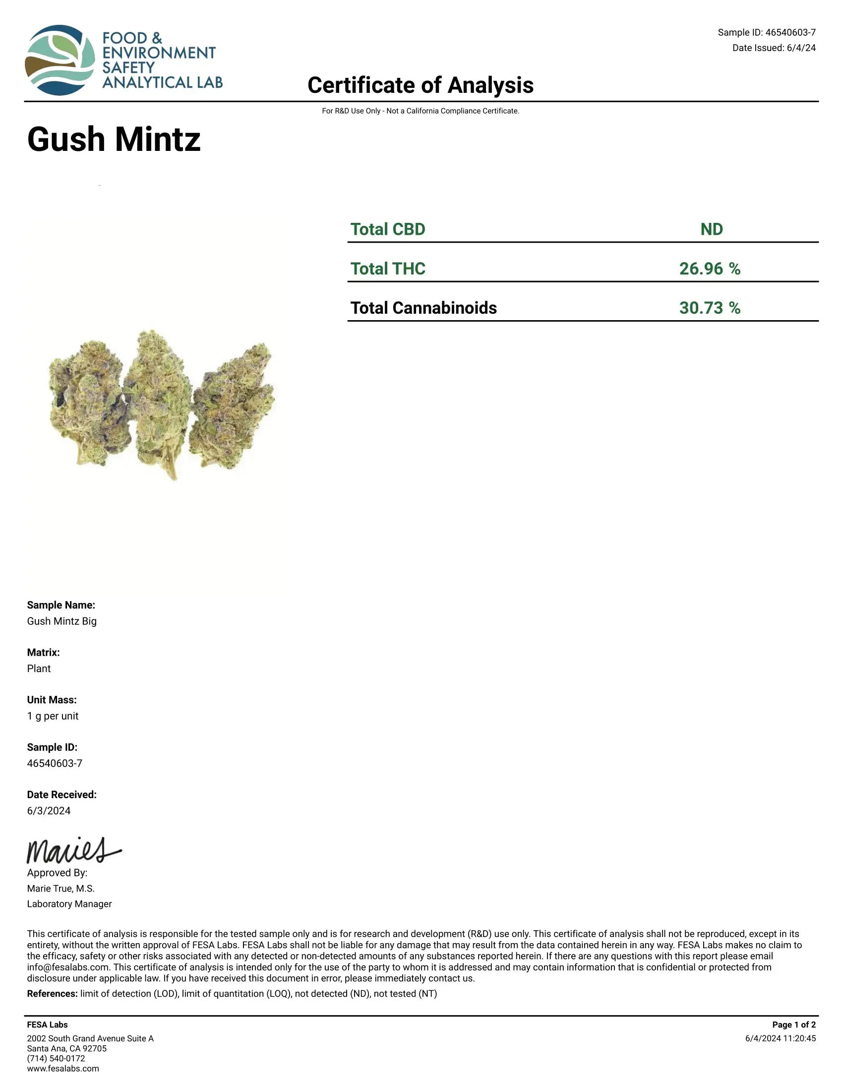 1 Pound - Gush Mintz THCA (Med) - Image 3