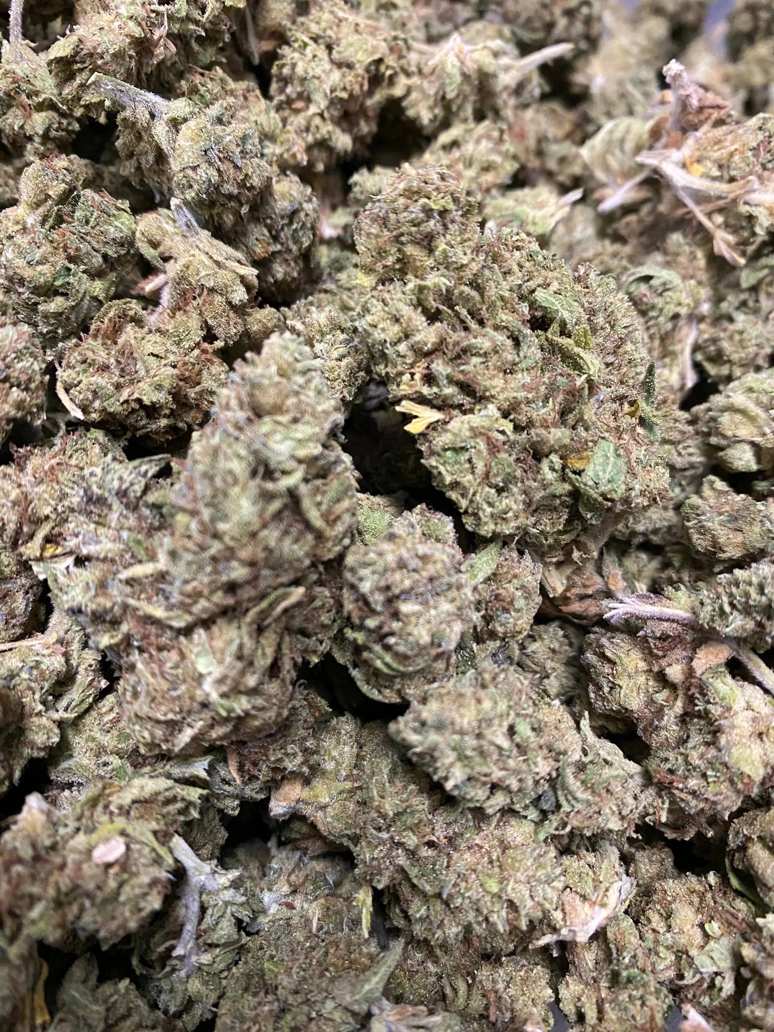 Gushers THCA - Image 3