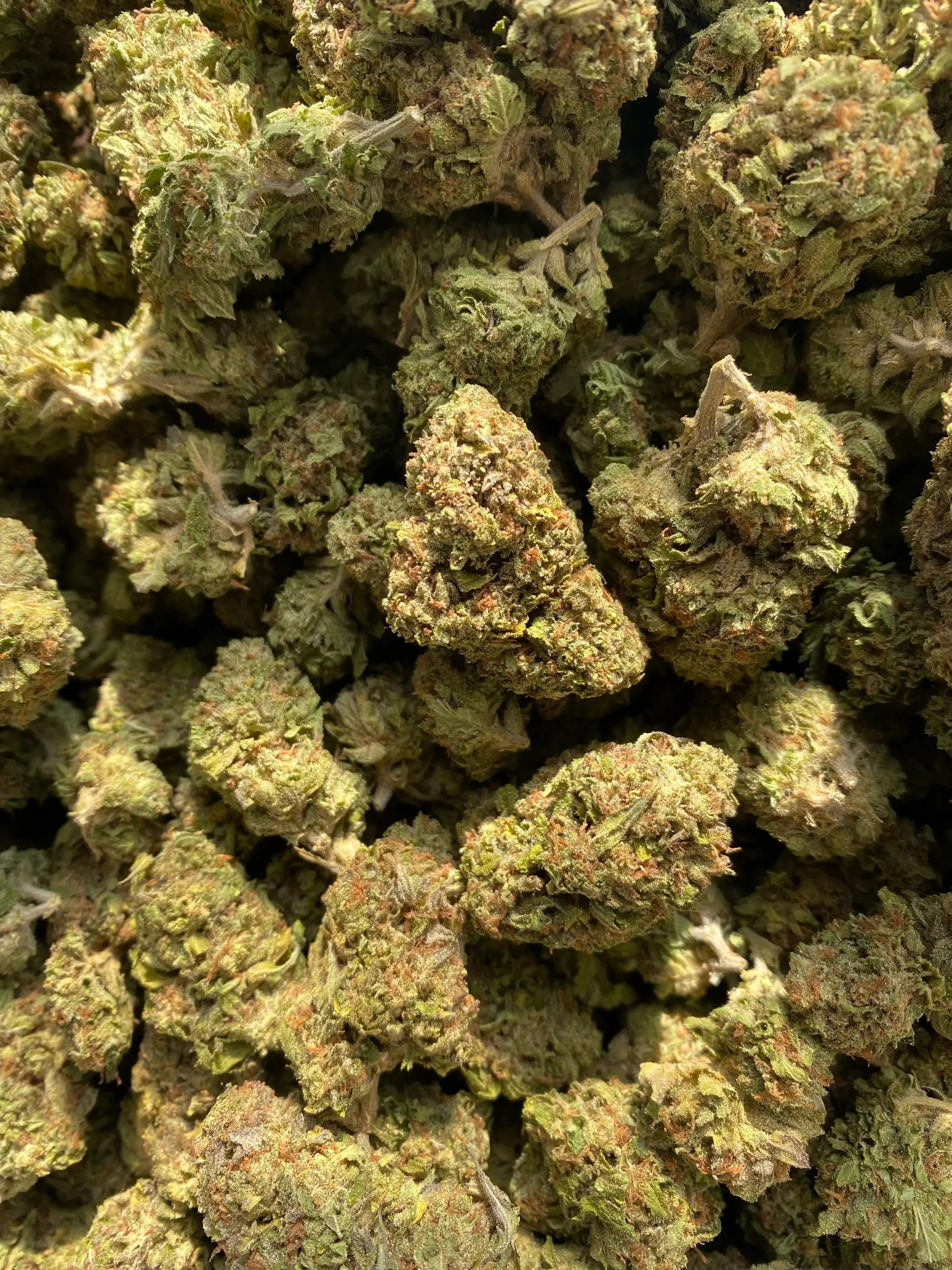 Frisco Labs - Hindu Zkittlez THCA Strain - Image 4