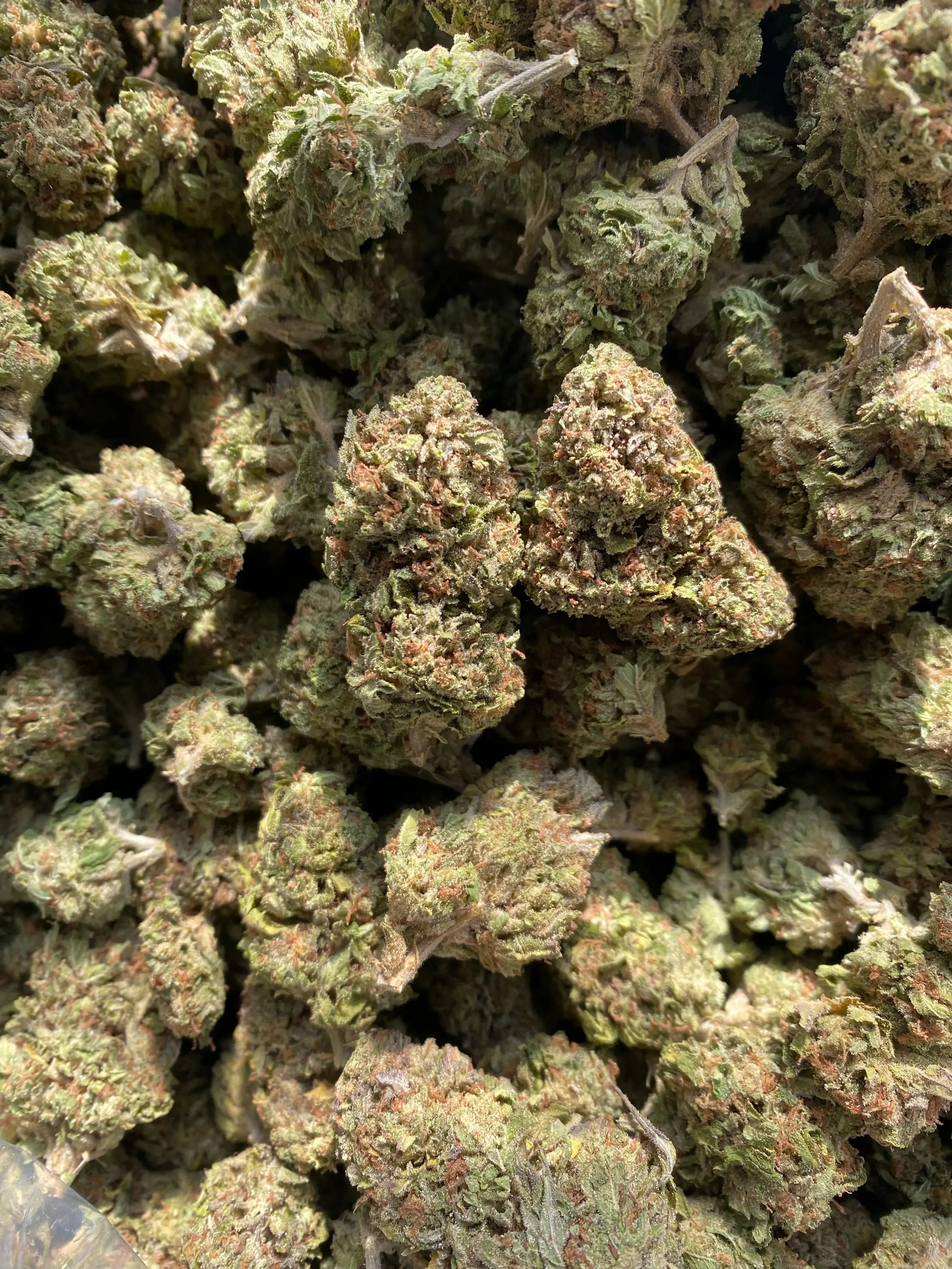 Frisco Labs - Hindu Zkittlez THCA Strain - Image 5
