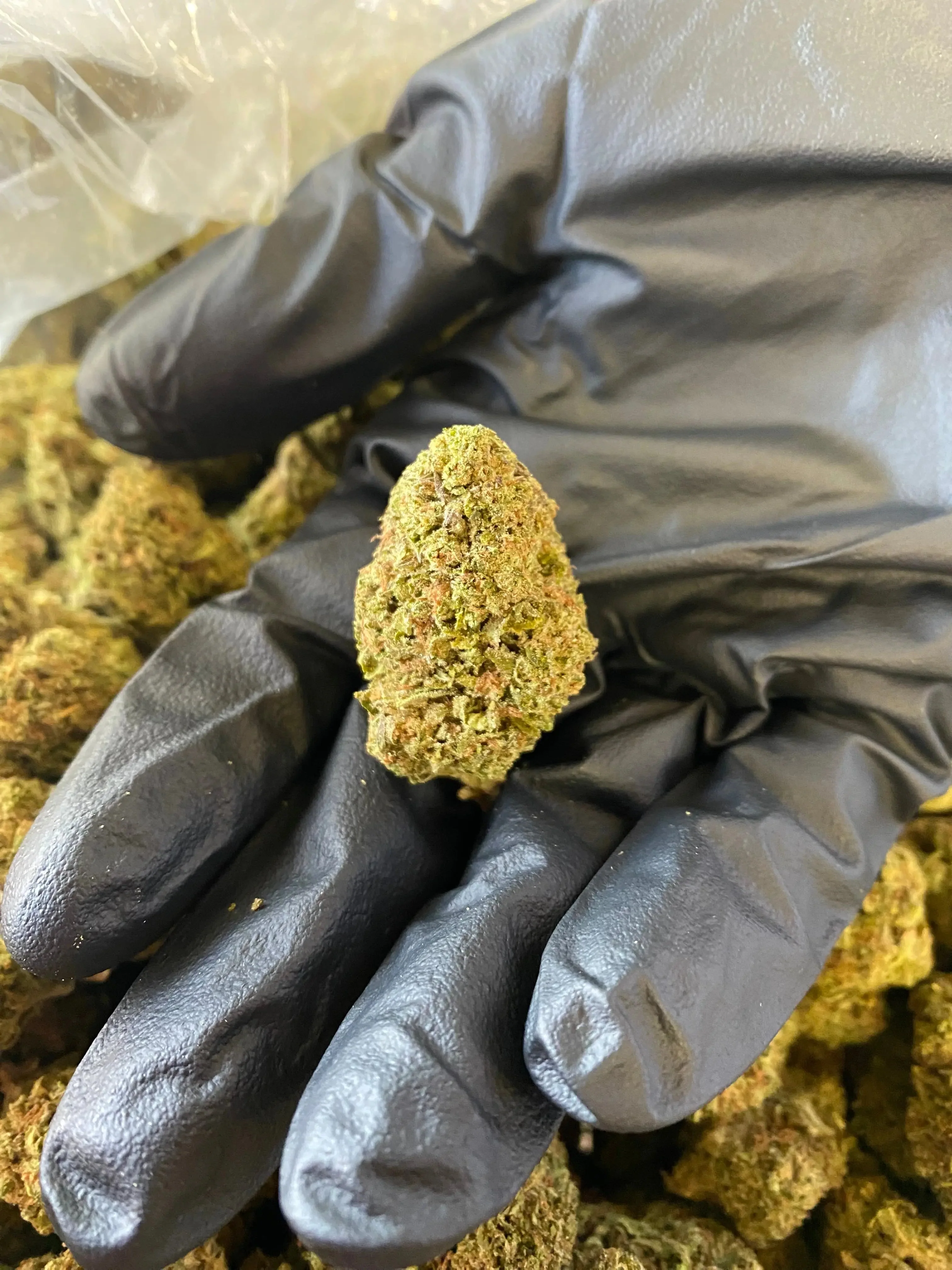 Ice Cream THCA - Image 2