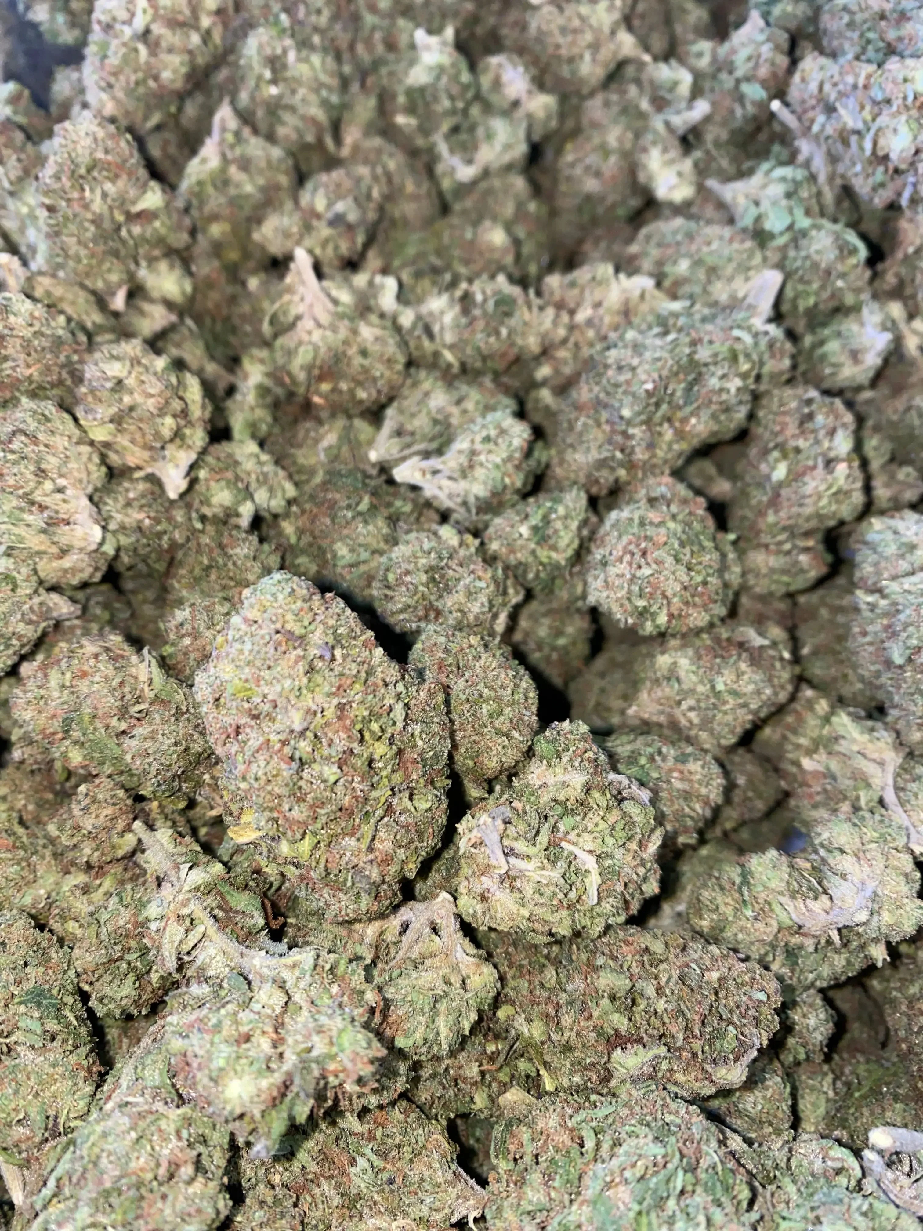 Ice Cream THCA - Image 4
