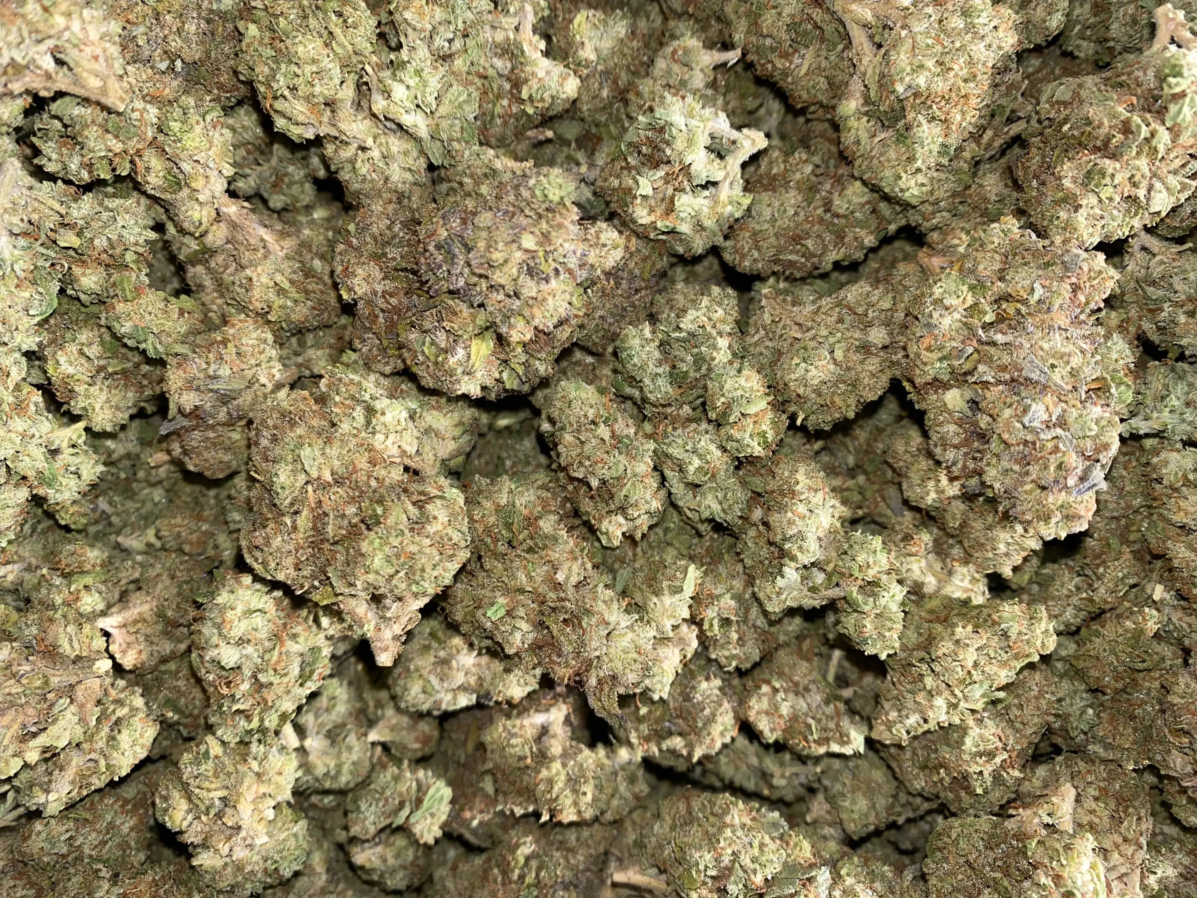 Frisco Labs  - O Blizzy THCA Strain - Image 4