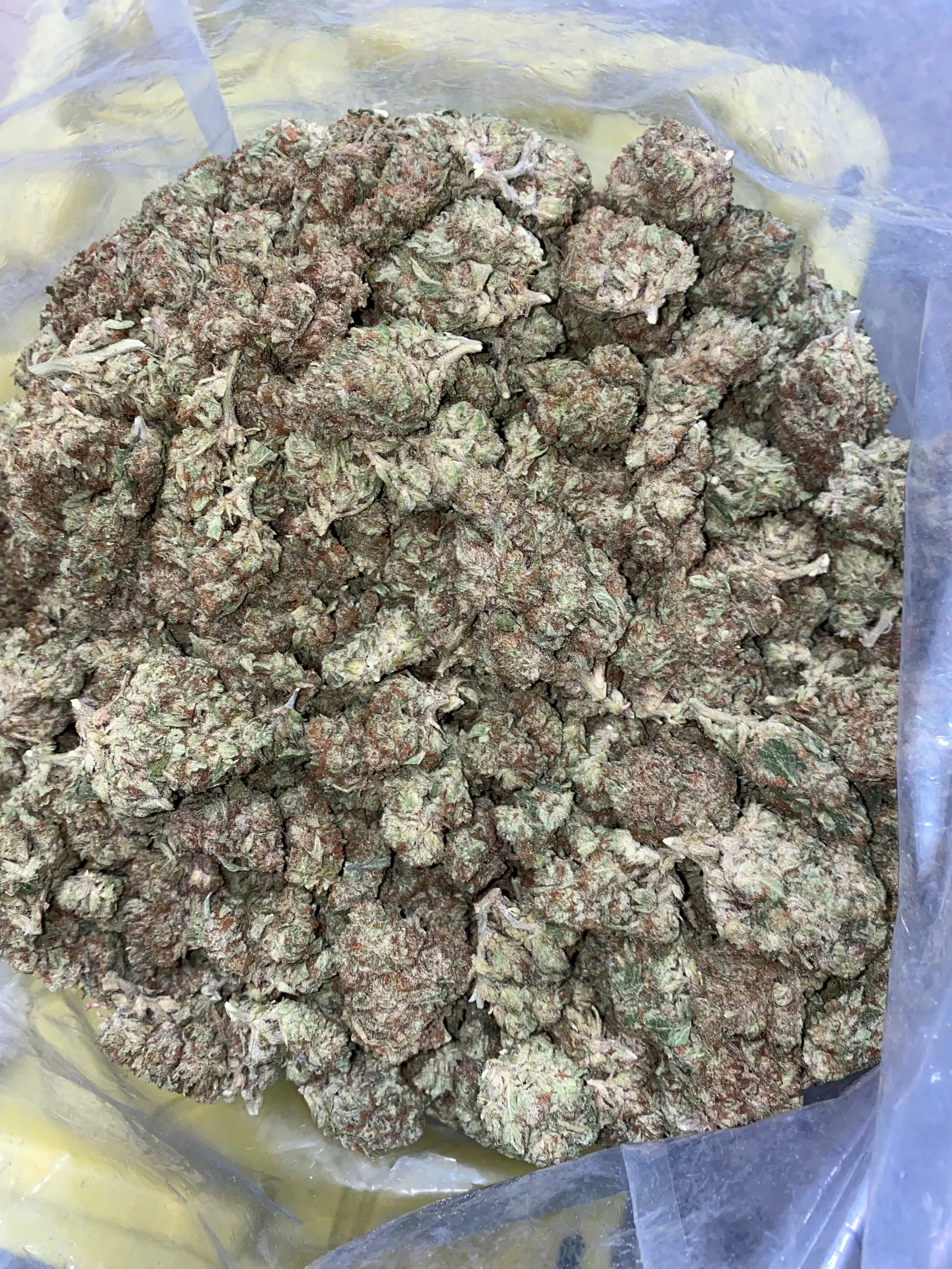 Frisco Labs - Zereal Milk THCA Strain - Image 3