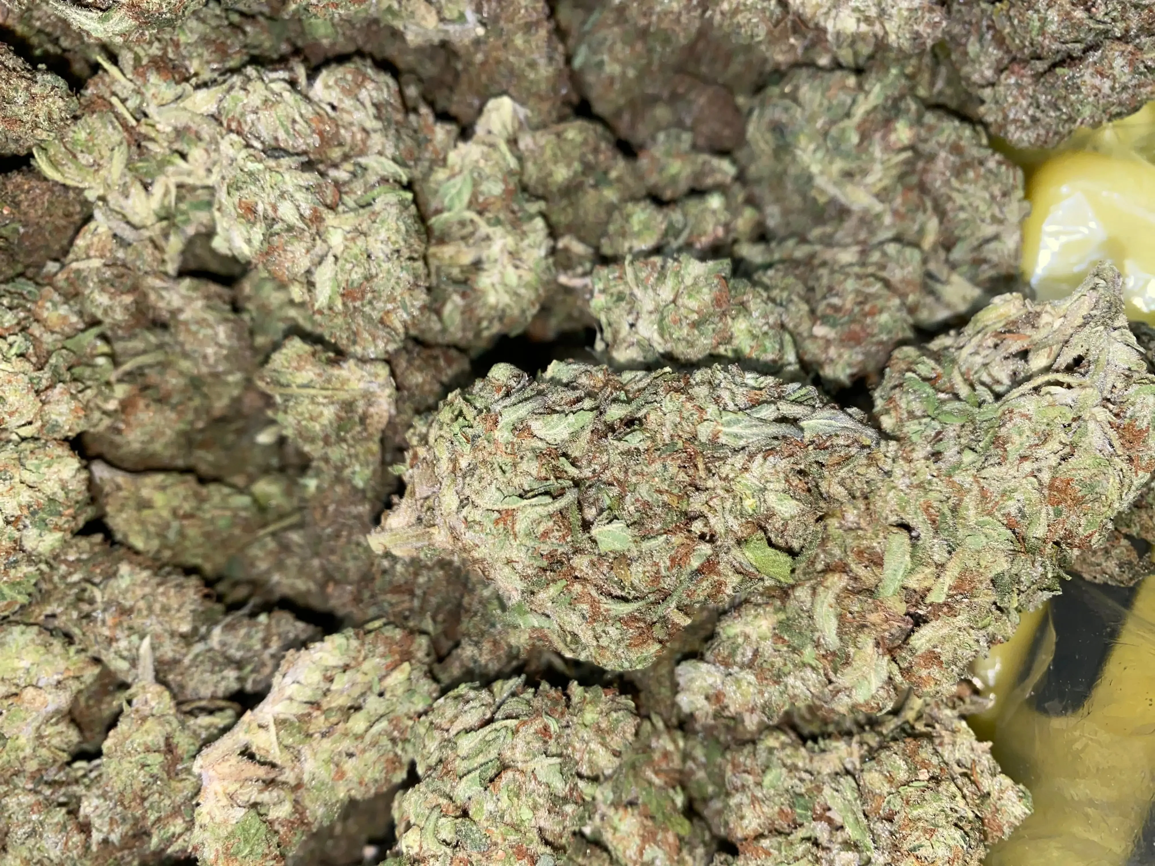 Frisco Labs - Zereal Milk THCA Strain - Image 6