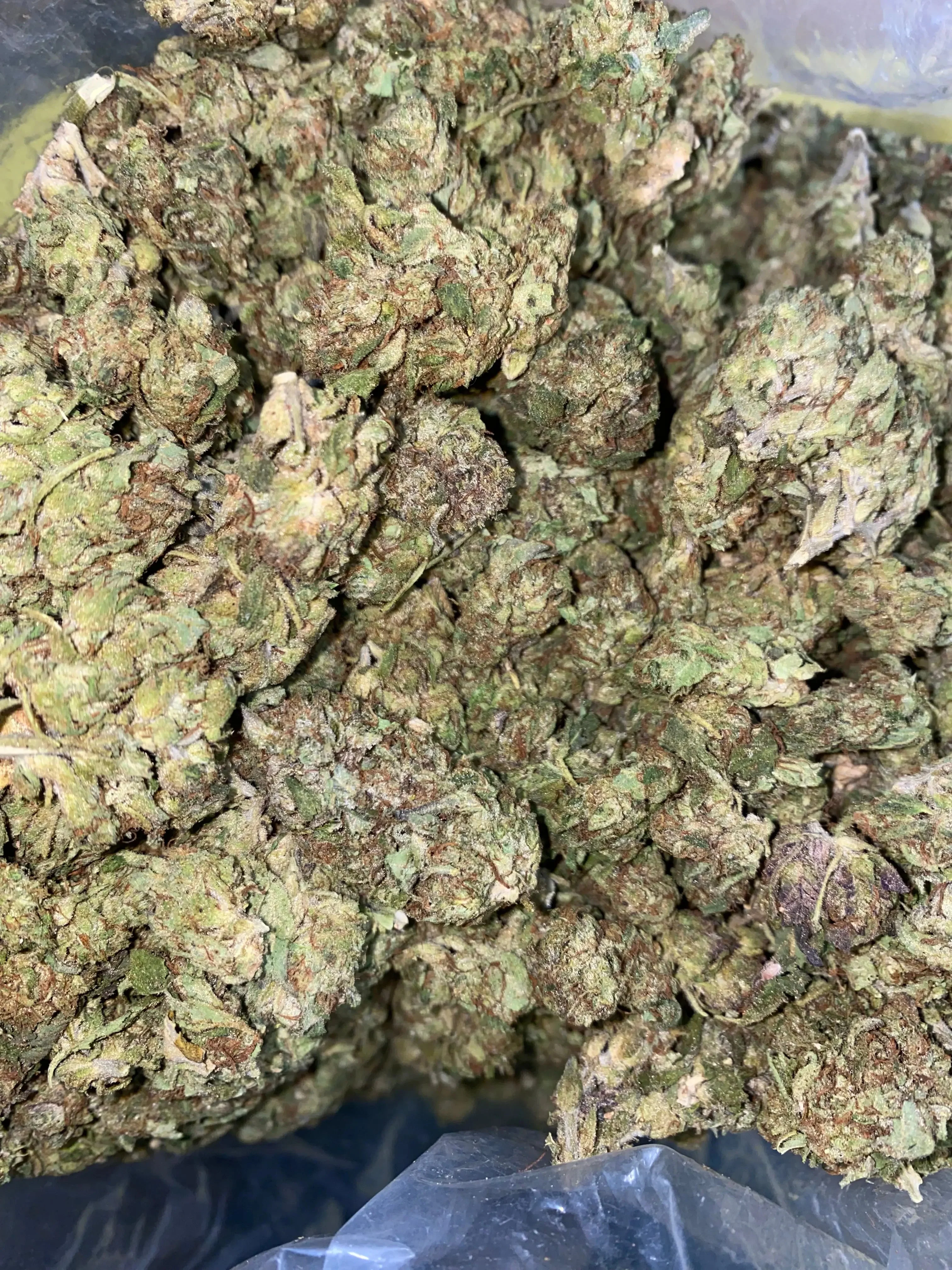 Frisco Labs - Zereal Milk THCA Strain - Image 7